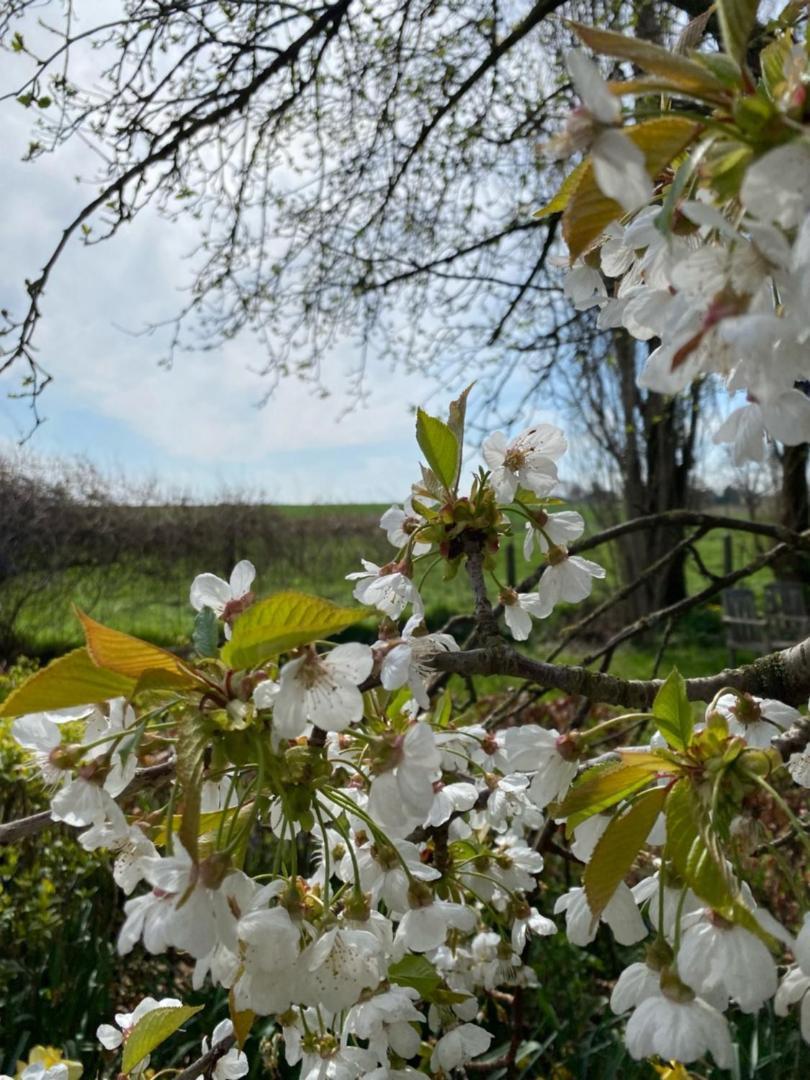 De Zwarte Stok Villa Riemst Exteriör bild