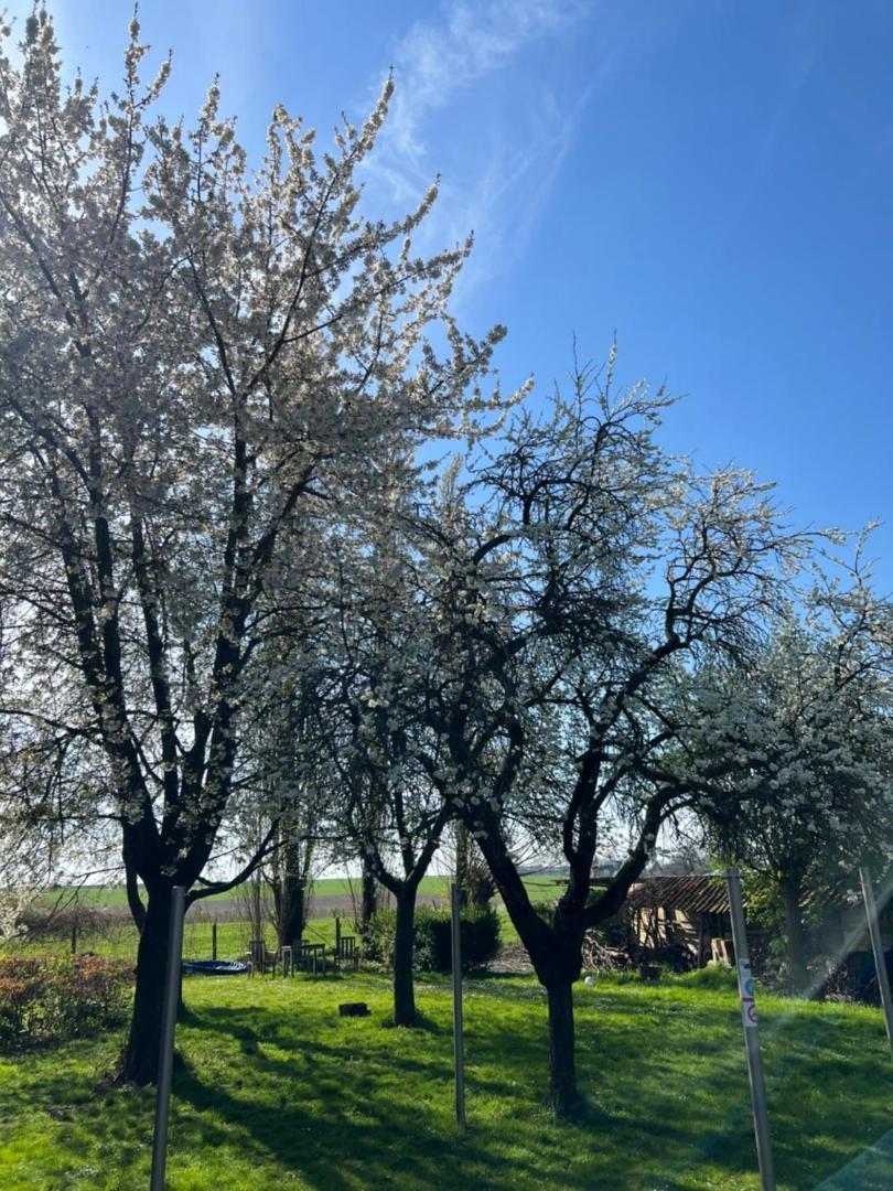 De Zwarte Stok Villa Riemst Exteriör bild