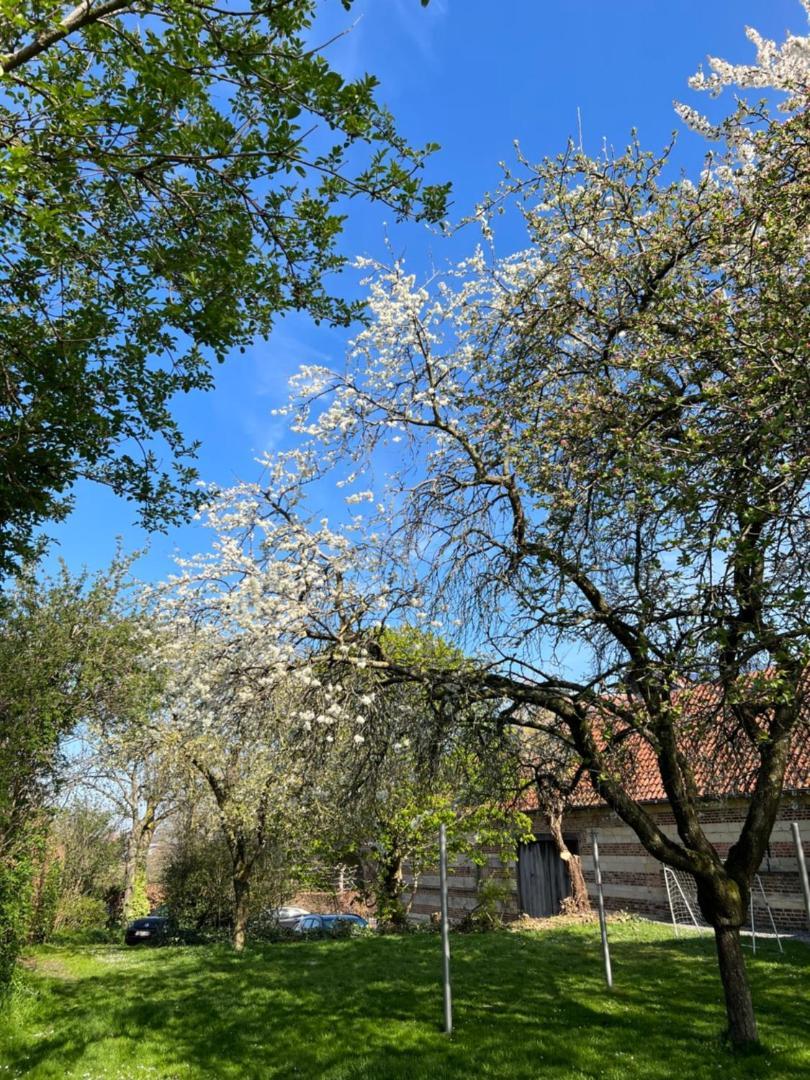 De Zwarte Stok Villa Riemst Exteriör bild